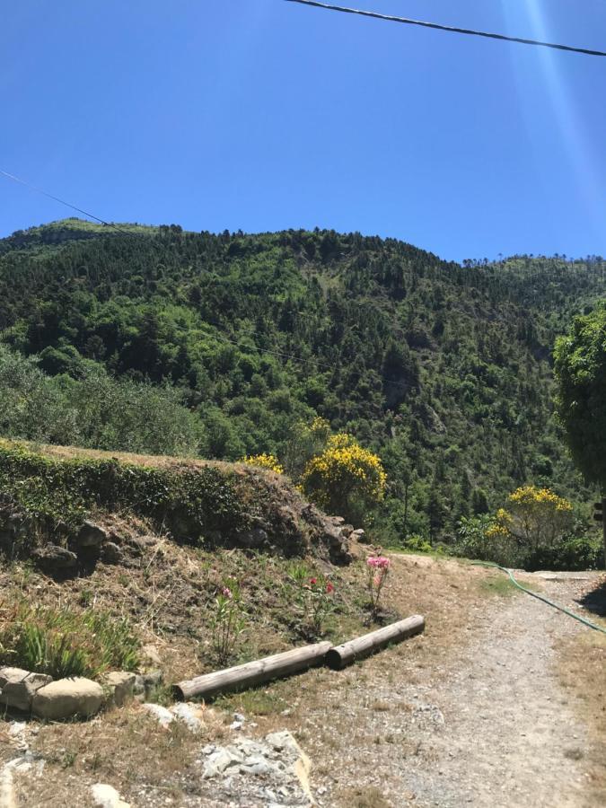 Bauernhof La Ferme Des Cailletiers Chez Marco Lucéram