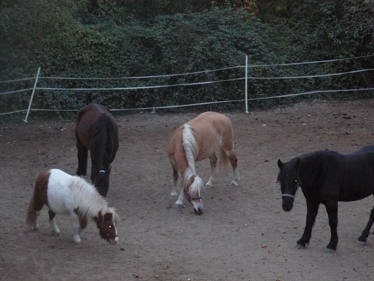 La Ferme Des Cailletiers Chez Marco Bauernhof *
